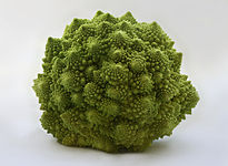 205px-Romanesco_Brassica_oleracea_Richard_Bartz.jpg